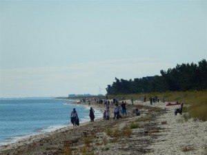 Over 100 volunteers, including many local residents, participated in September's Coastal Clean Up.