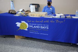 Inland Bays