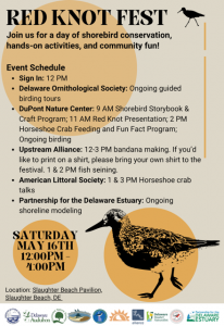 Red Knot Fest