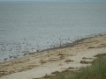 dscn1060