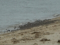 dscn1064