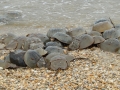 dscn1068