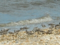 dscn1094