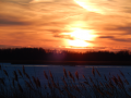 DSCN2094
